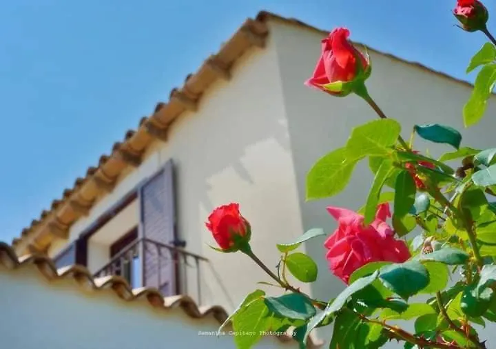 Le 3 Rose Apartments Montallegro